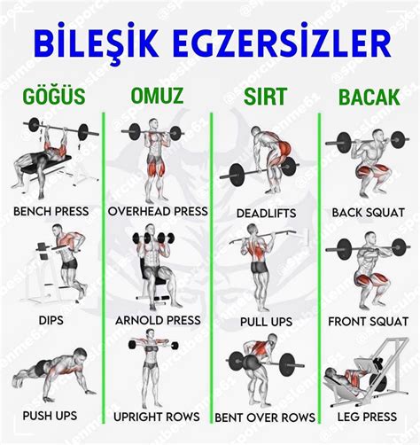 Fitness Salonu: Egzersiz Rehberi ve Temel Bilgiler